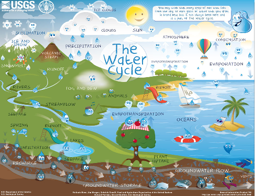 The Water Cycle