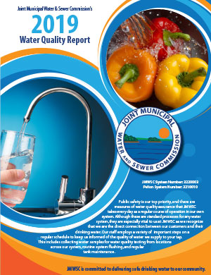 Water Quality Report 2019